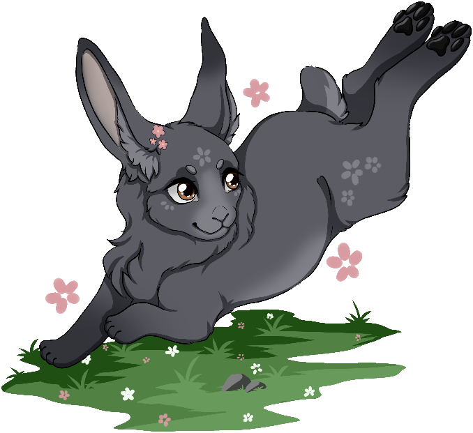 Flower Field - Paws at You